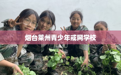 烟台莱州青少年戒网学校