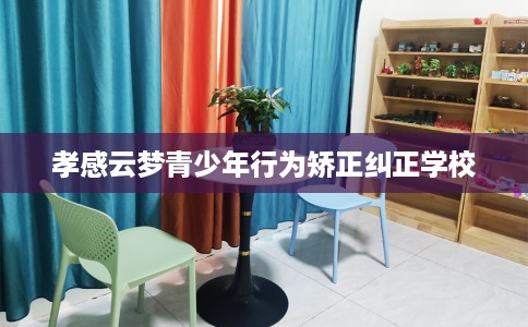 孝感云梦青少年行为矫正纠正学校