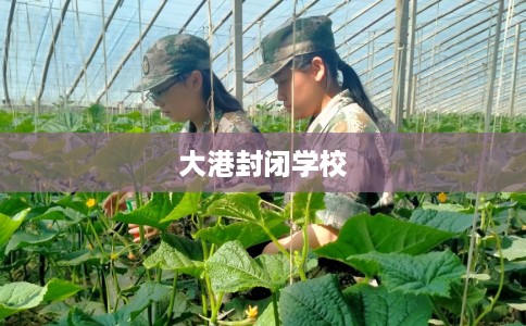 大港封闭学校