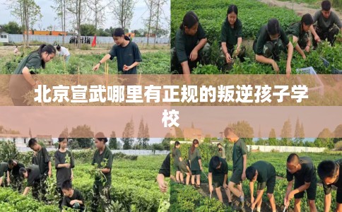 北京宣武哪里有正规的叛逆孩子学校