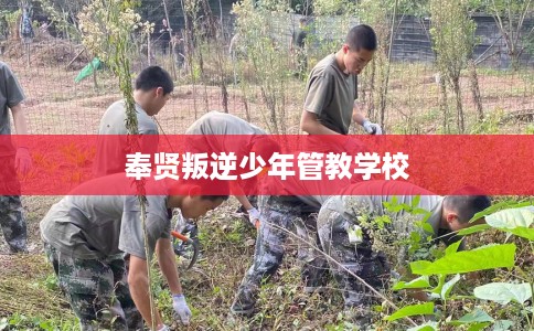 奉贤叛逆少年管教学校