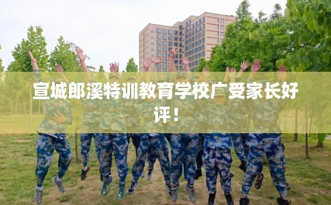 宣城郎溪特训教育学校广受家长好评！