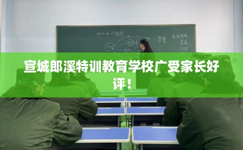 宣城郎溪特训教育学校广受家长好评！