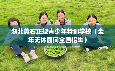 湖北黄石正规青少年特训学校（全年无休面向全国招生）
