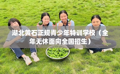 湖北黄石正规青少年特训学校（全年无休面向全国招生）