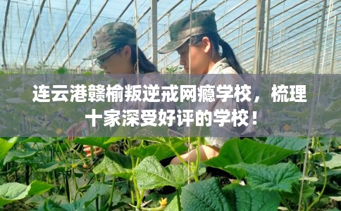 连云港赣榆叛逆戒网瘾学校，梳理十家深受好评的学校！