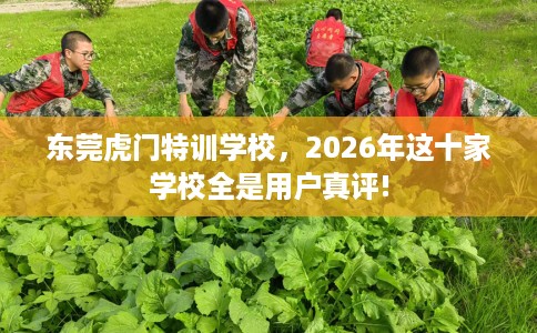东莞虎门特训学校，2026年这十家学校全是用户真评!