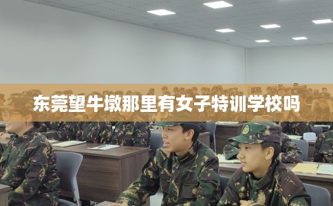 东莞望牛墩那里有女子特训学校吗