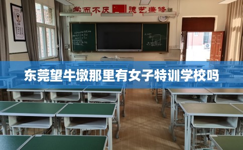东莞望牛墩那里有女子特训学校吗