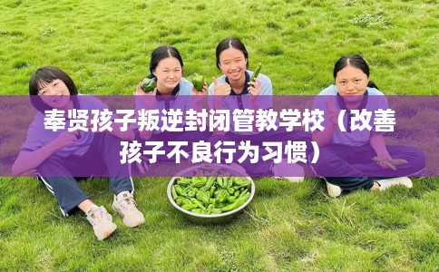 奉贤孩子叛逆封闭管教学校（改善孩子不良行为习惯）
