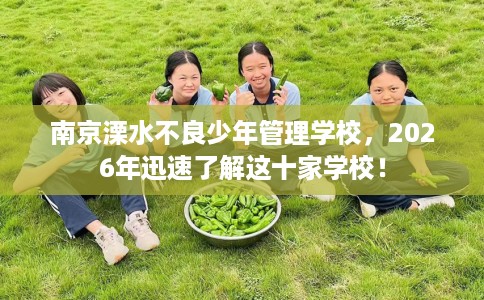 南京溧水不良少年管理学校，2026年迅速了解这十家学校！