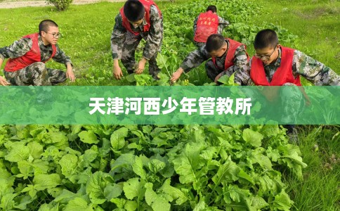 天津河西少年管教所