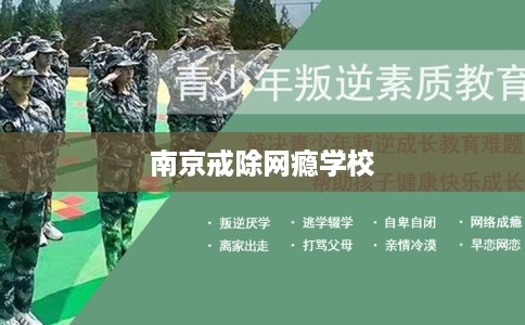 南京戒除网瘾学校
