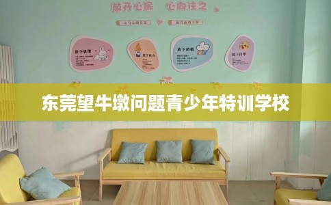 东莞望牛墩问题青少年特训学校