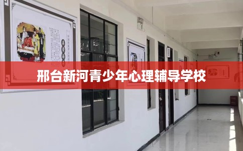 邢台新河青少年心理辅导学校