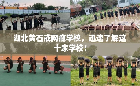 湖北黄石戒网瘾学校，迅速了解这十家学校！