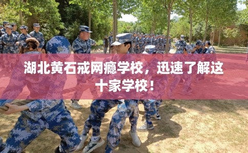 湖北黄石戒网瘾学校，迅速了解这十家学校！