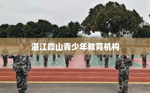 湛江霞山青少年教育机构