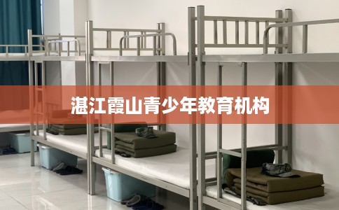 湛江霞山青少年教育机构