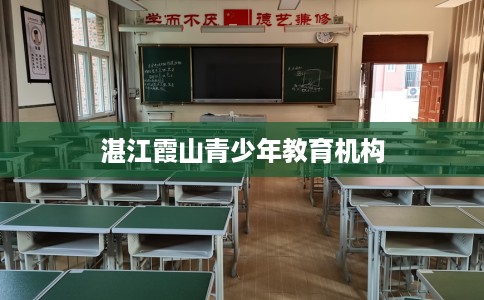 湛江霞山青少年教育机构