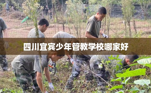 四川宜宾少年管教学校哪家好