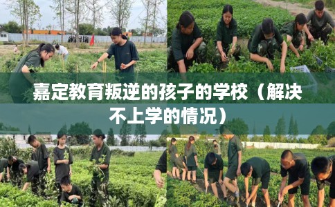 嘉定教育叛逆的孩子的学校（解决不上学的情况）