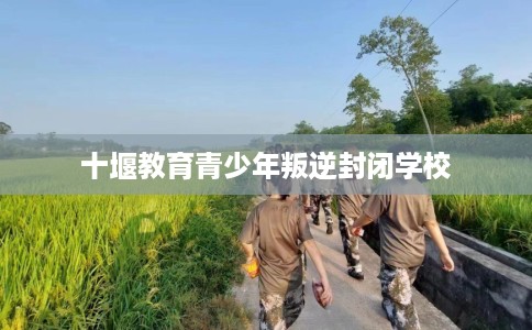 十堰教育青少年叛逆封闭学校
