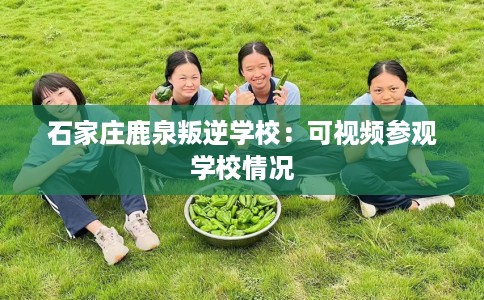 石家庄鹿泉叛逆学校：可视频参观学校情况