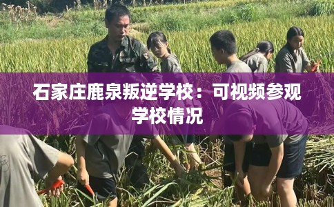 石家庄鹿泉叛逆学校：可视频参观学校情况