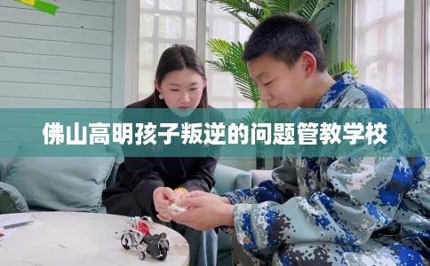 佛山高明孩子叛逆的问题管教学校
