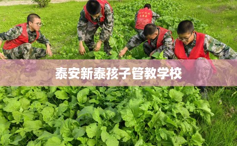 泰安新泰孩子管教学校