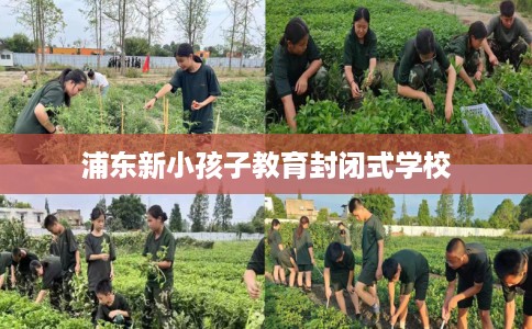 浦东新小孩子教育封闭式学校