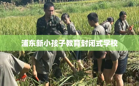 浦东新小孩子教育封闭式学校