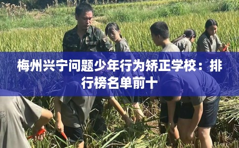 梅州兴宁问题少年行为矫正学校：排行榜名单前十