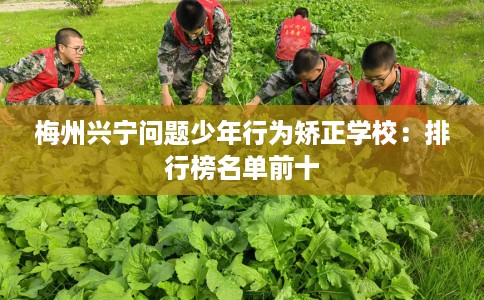 梅州兴宁问题少年行为矫正学校：排行榜名单前十