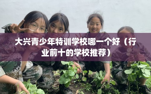 大兴青少年特训学校哪一个好（行业前十的学校推荐）