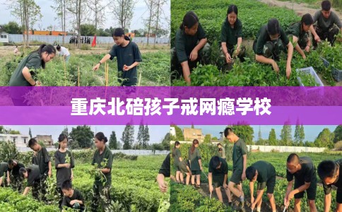 重庆北碚孩子戒网瘾学校