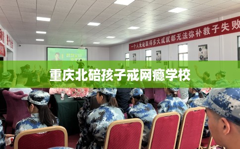 重庆北碚孩子戒网瘾学校
