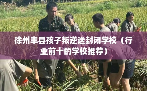 徐州丰县孩子叛逆送封闭学校（行业前十的学校推荐）
