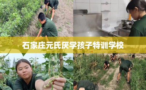 石家庄元氏厌学孩子特训学校