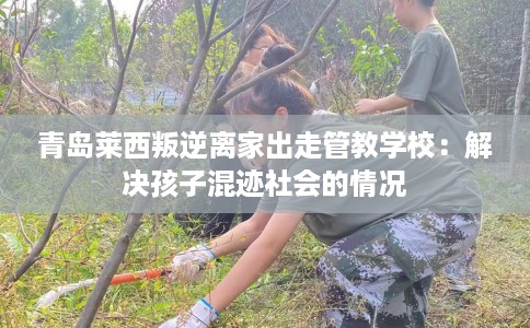 青岛莱西叛逆离家出走管教学校：解决孩子混迹社会的情况