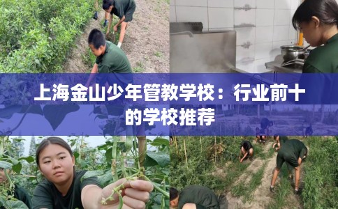 上海金山少年管教学校：行业前十的学校推荐
