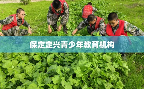 保定定兴青少年教育机构