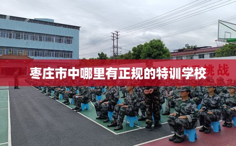 枣庄市中哪里有正规的特训学校