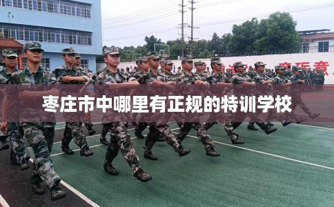 枣庄市中哪里有正规的特训学校