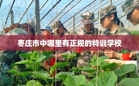 枣庄市中哪里有正规的特训学校