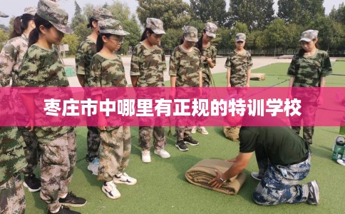 枣庄市中哪里有正规的特训学校