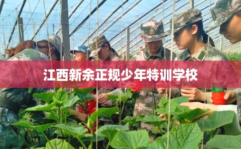 江西新余正规少年特训学校