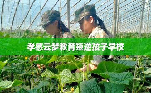 孝感云梦教育叛逆孩子学校