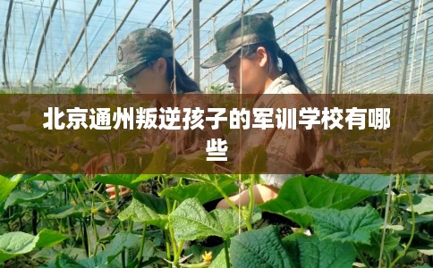 北京通州叛逆孩子的军训学校有哪些